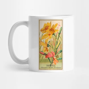 Daffodils (Narcissis Pseudo-Narcissus) Mug